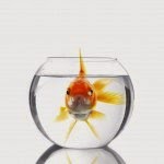 commercial real estate loan