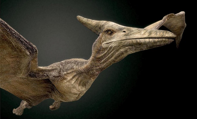 Inilah 6 Hal Unik yang  Mungkin Terjadi Kalau Dinosaurus 