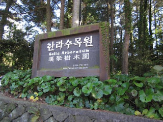 Halla Arboretum - Jeju Halla Arboretum