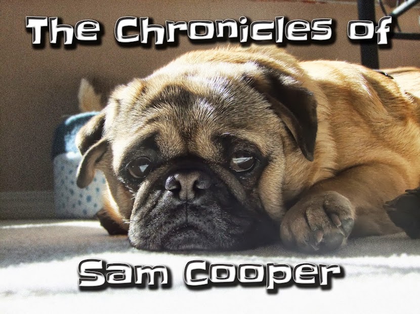 The Chronicles of Sam Cooper