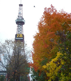 Sapporo TV tower from Odori park with autumn / fall coloured leaves on the trees. And a bird