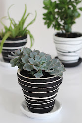 pot painting rubber bands plants potted simple stripes minimal