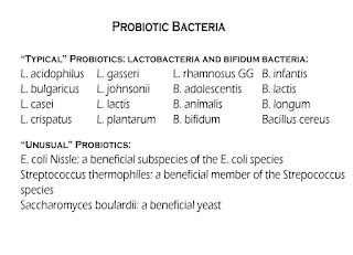 probiotic bacteria table