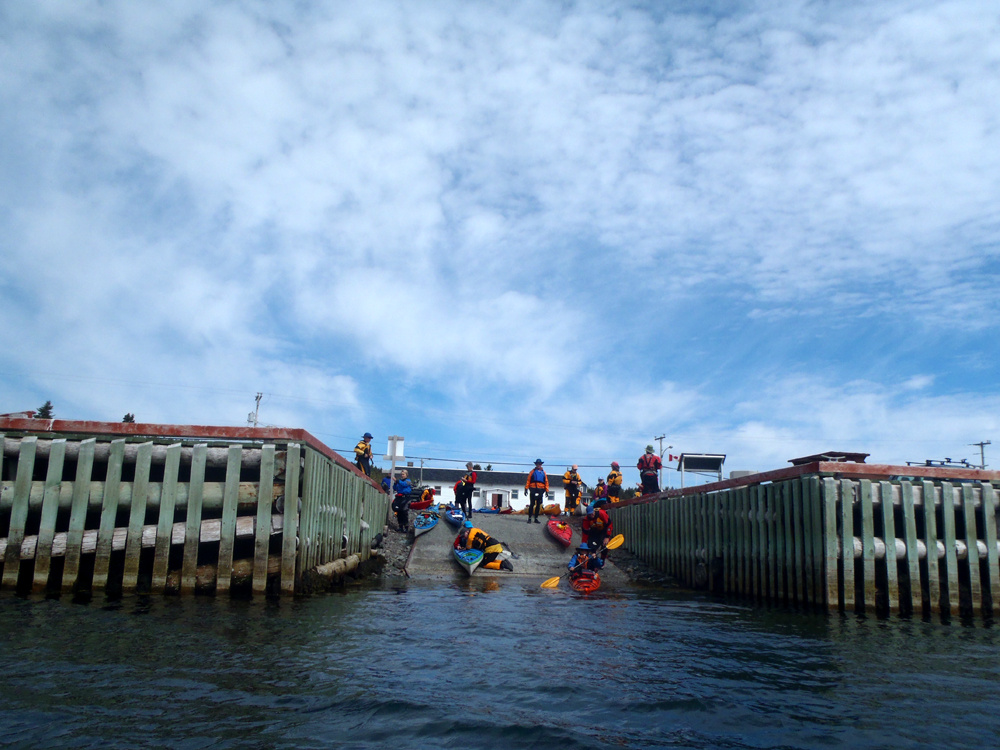 My Newfoundland Kayak Experience A hoard of kayaks descends on Conception Harbour