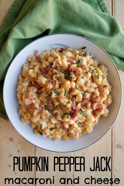 The perfect combination of savory, cheesy goodness with just a bit of spice. Pumpkin pepper jack macaroni and cheese is a delicious and fun side dish that will have them asking for seconds. #pumpkinweek The perfect combination of savory, cheesy goodness with just a bit of spice. Pumpkin pepper jack macaroni and cheese is a delicious and fun side dish that will have them asking for seconds. #pumpkinweek