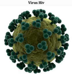 Virus HIV Virus HIV