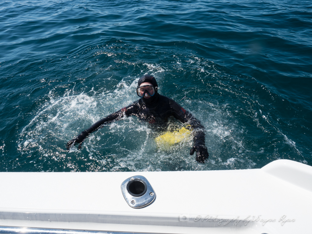 Wayne Ryan's blog Port Phillip Bay Squid and Scallop Fishing