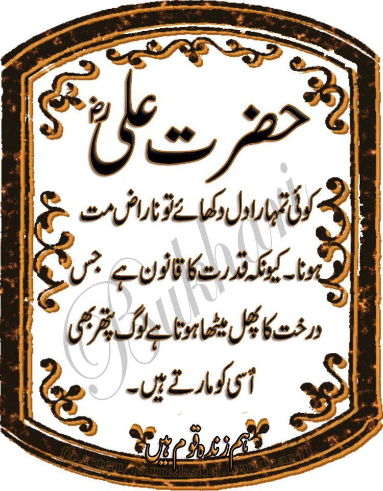 Malak Rasool Labels: MALAK MAHBOOB-UL-RASOOL