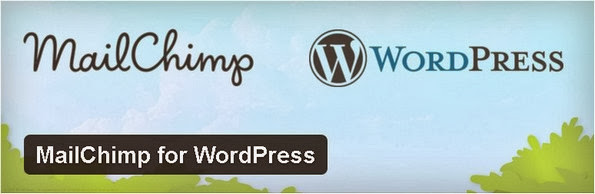 MailChimp for WordPress plugin