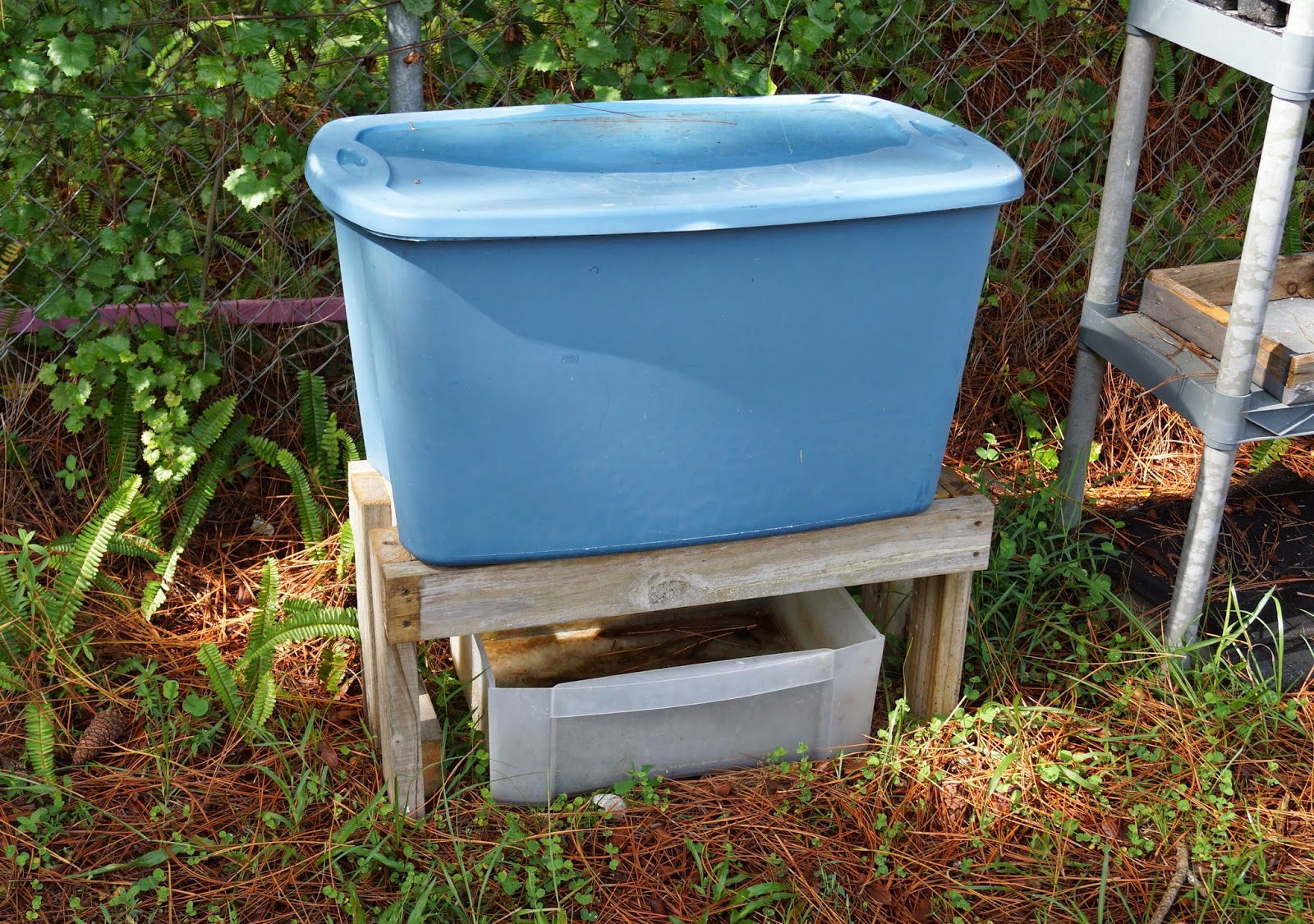 The Manic Organic Raising Earthworms for Composting and Making an