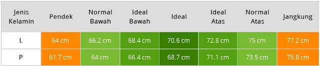 Tabel Tinggi Badan Bayi Usia Delapan Bulan