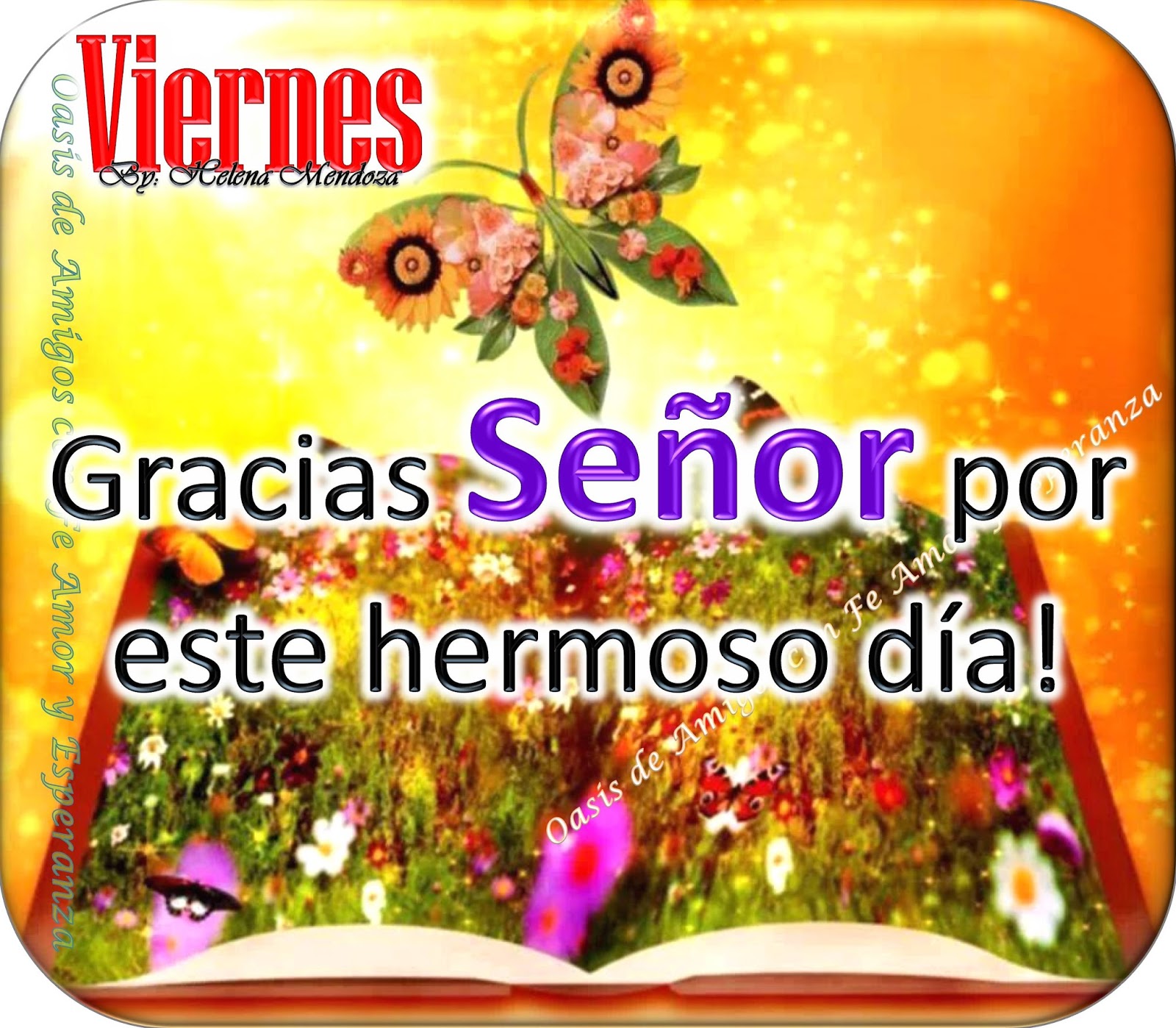 FELIZ DÍA A LA VIDA Gracias Señor por este día