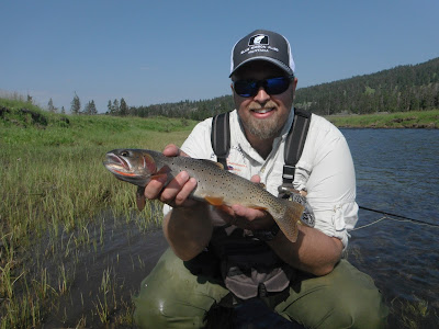 North Georgia Sportsman: Leaky Waders