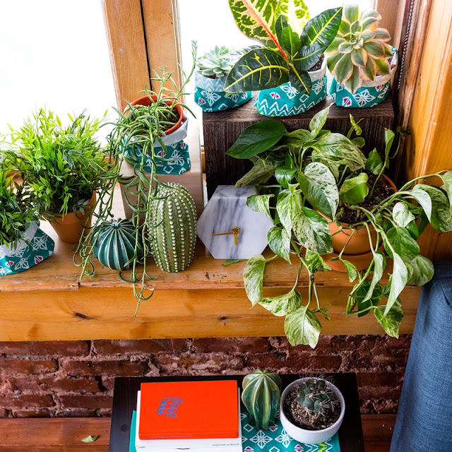 Use This IKEA Hack to Spruce Up Your Plant Shelfie