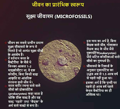 Physical status of earth
