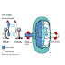 Basics of Fluid Coupling