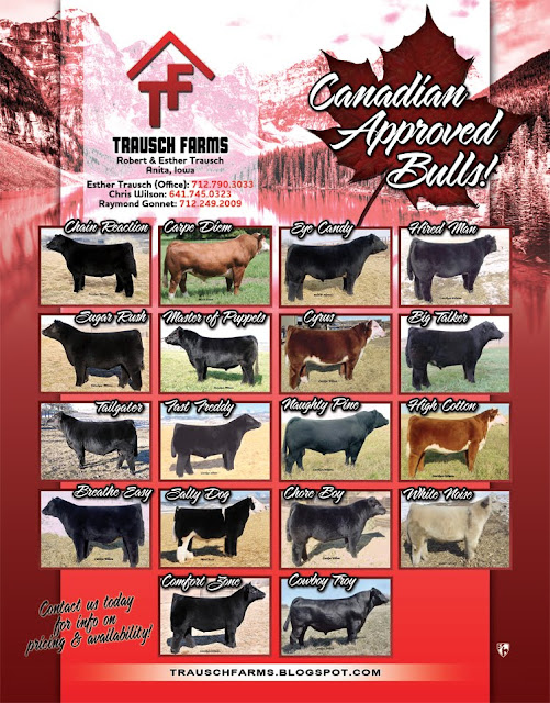 DIAMOND G CATTLE CO. Canadian Approved Bulls