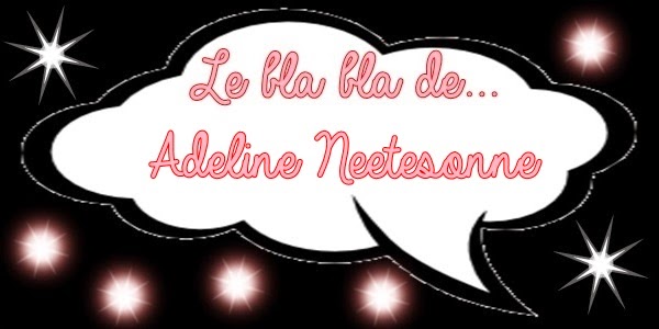 http://unpeudelecture.blogspot.fr/2014/03/linterview-dadeline-neetesonne.html