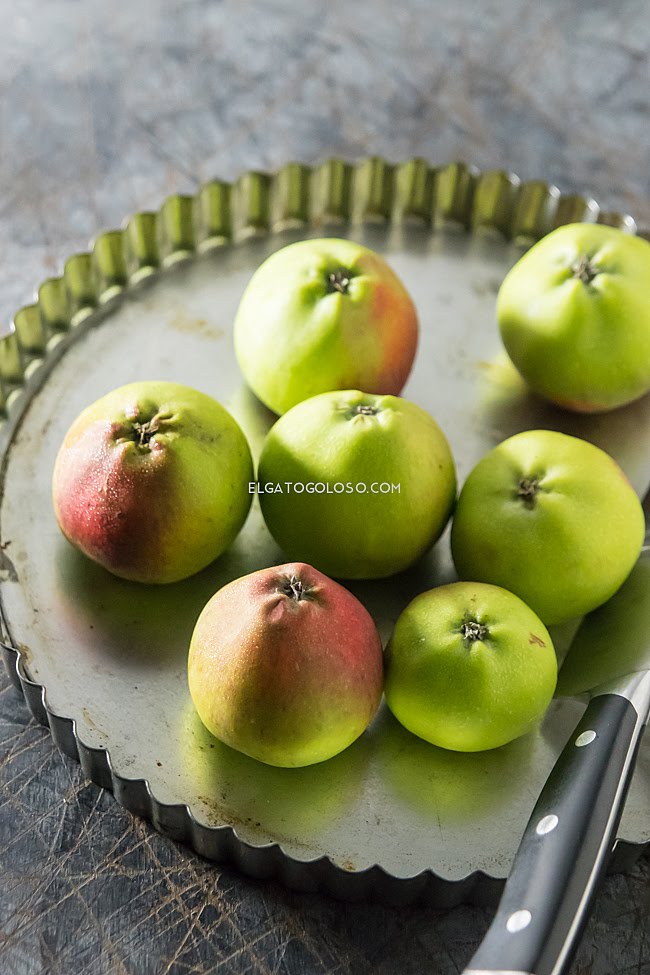 Food-photohraphy-apples Maru Aveledo