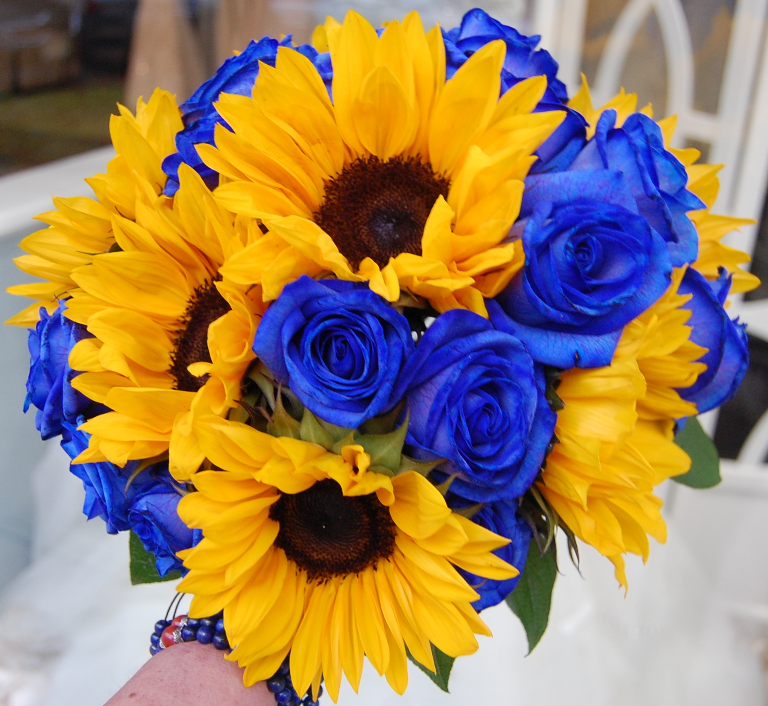 Blue Roses