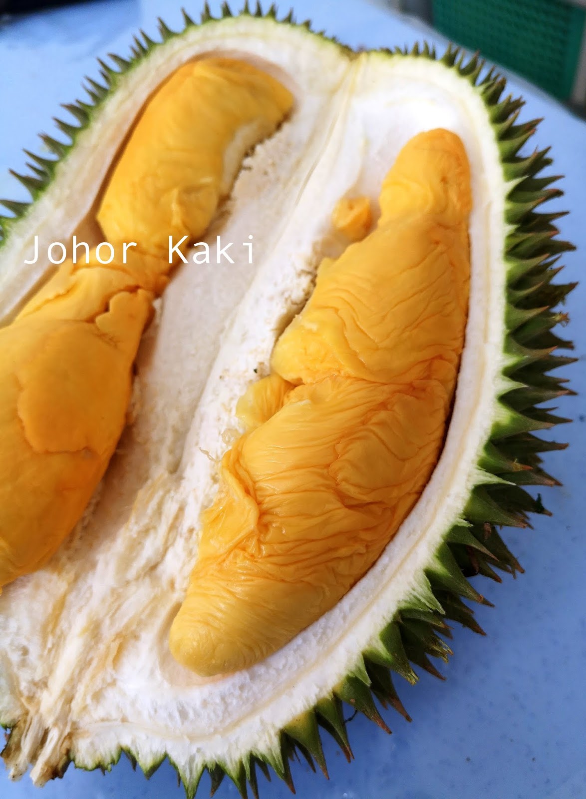 101 durian