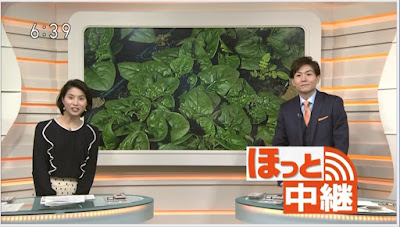 NHK「ほっとニュース北海道」