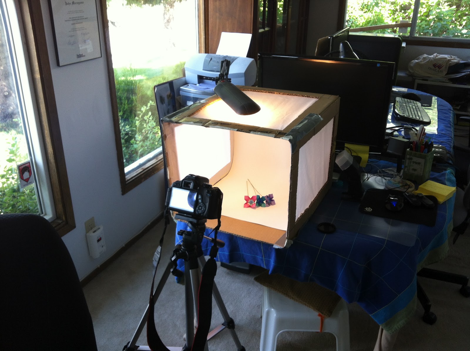 David's Blog: White Box Photography