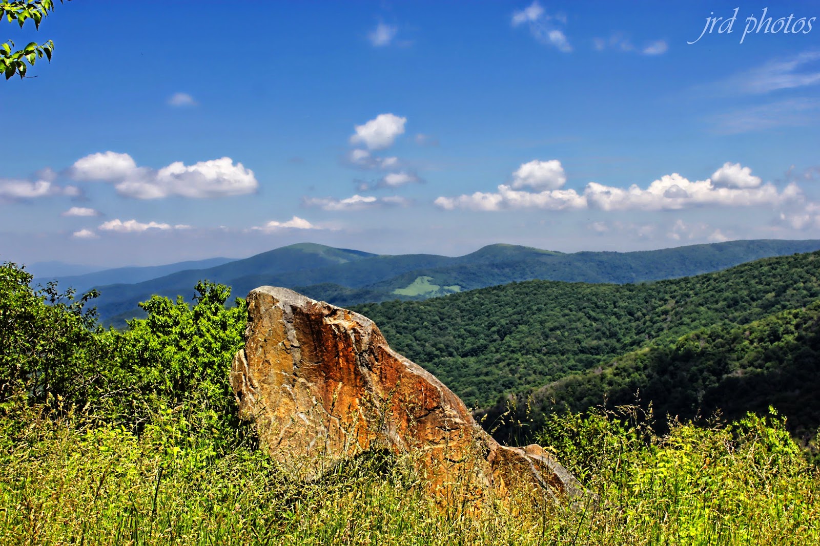 Just A Pic "The Rock On Roan"