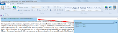 Windows Live Writer Etiket arama kutusu