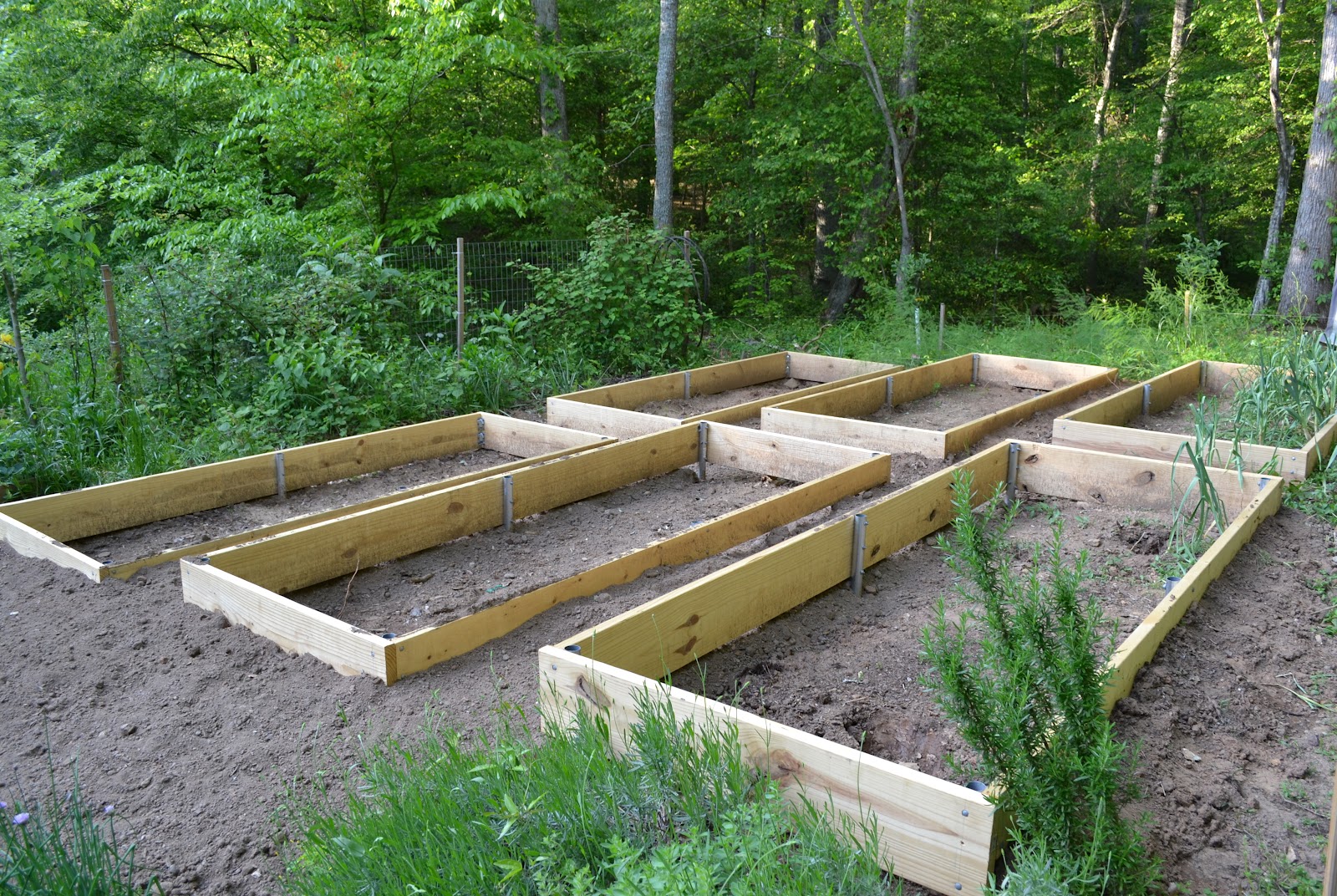 Growing Days The Art of Raising Beds in the Veggie Garden.