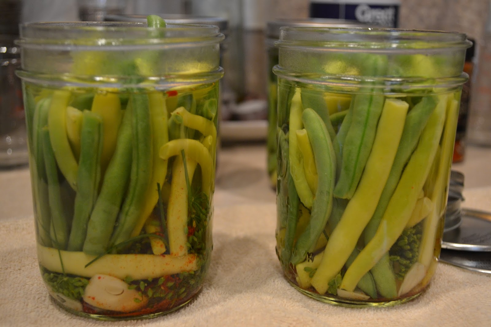 Quantrell Quips Spicy Pickled Green Beans & Garlic Recipe