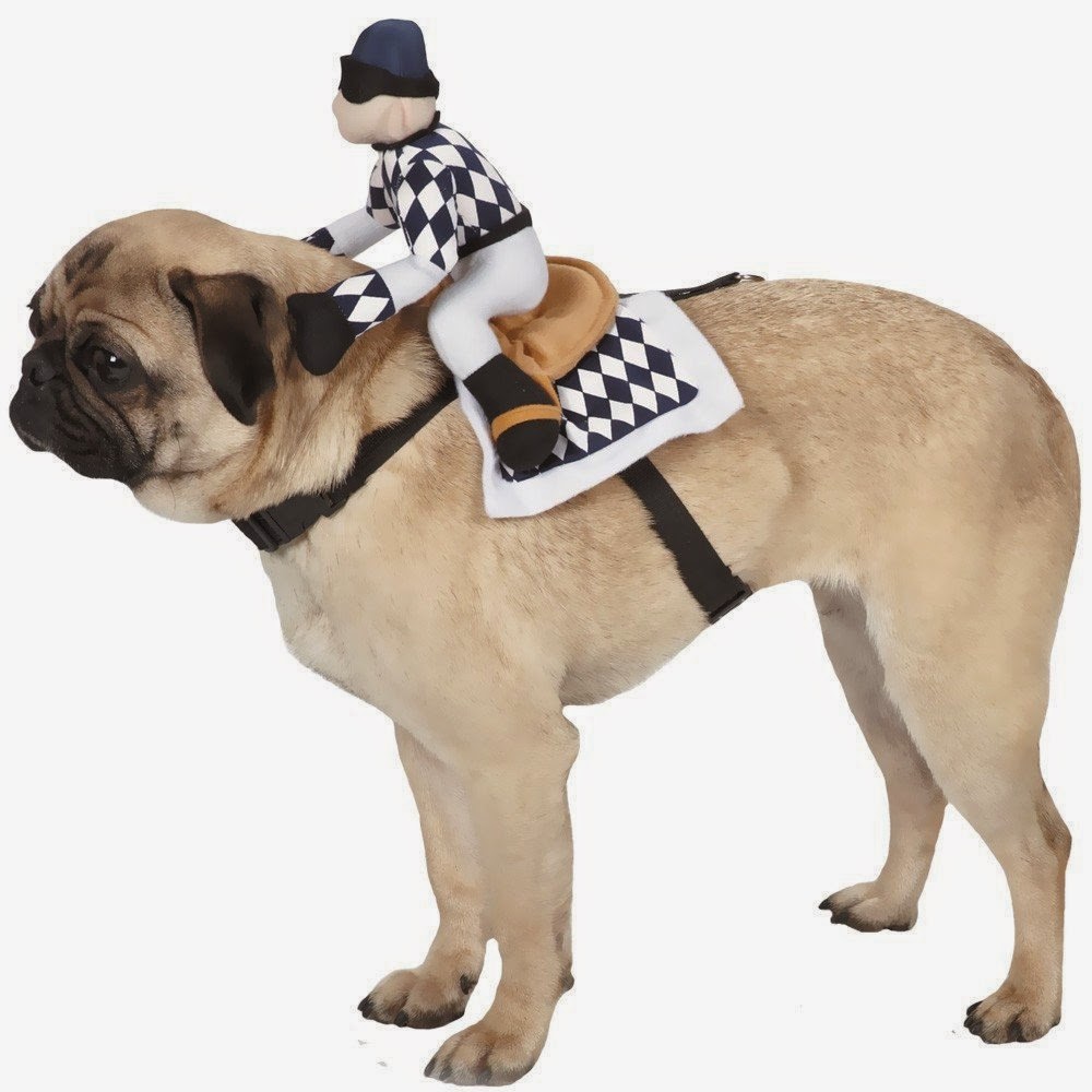13 Most Hilarious Dog Halloween Costumes Ever! The