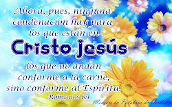 biblicos versiculos mensajes hermosos flores fondos textos imagenes palabras verdad tu cristianos paisajes romanos pasajes jesus fe quotes religious hijos