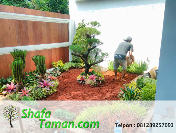 Tukang Taman Sukatani Shafa Taman Shafa Taman Tukang Taman