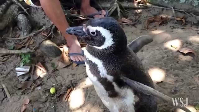 tromaktiko | Lamianow.gr