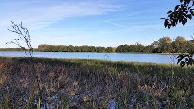 Lake in Strzepcz