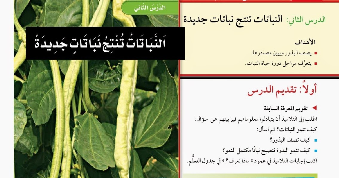 كيف تنتج النباتات نباتات اخرى