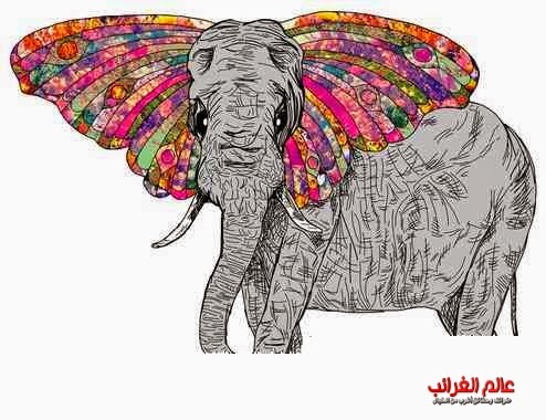 الفيلة، العجائب والغرائب، الفيل