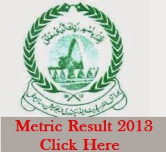 BiseSahiwal Result 2013