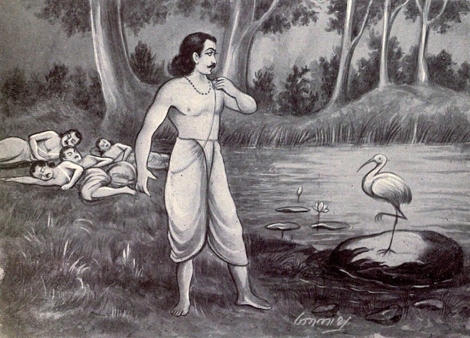 ధర్మరాజు తీర్థయాత్ర - ధర్మ నీతి - Dharmaraju Thirdhayatra anduloni Dharma nithi
