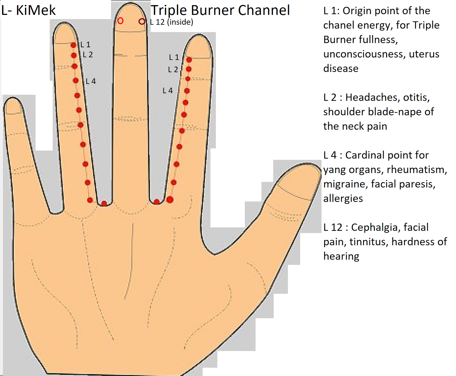 PABLOHEILPRAXIS KOREAN HAND ACUPUNCTURE