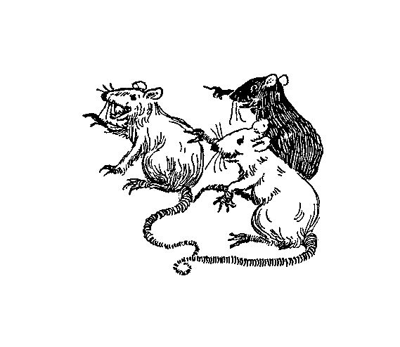 Digital Stamp Design: Free Animal Digital Stamp: 3 Laughing Rats ...