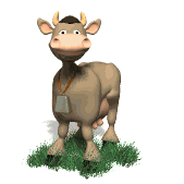funny cow animated image gif animation personage for cartoon