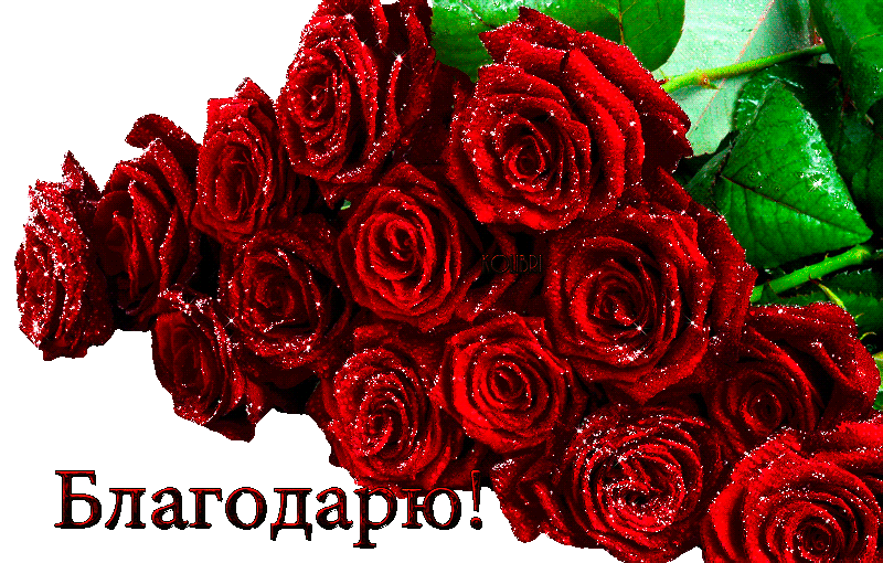 От всей души все выпуски 2022. Благодарю от души. Красивый букет с благодарностью. Красивые розы с благодарности. Букет цветов спасибо.