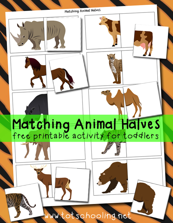 Matching Animal Halves Printable Activity | Totschooling - Toddler,  Preschool, Kindergarten Educational Printables