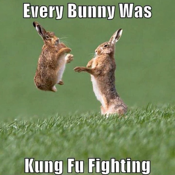 Great Meme For Easter 2018 Great Meme For Easter 2018