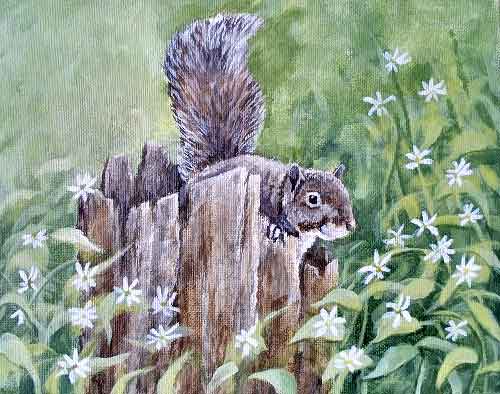 squirrel painting