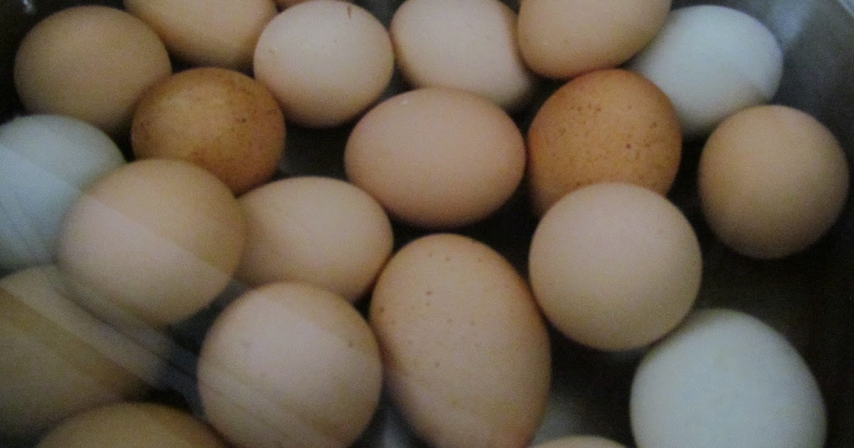 Pioneer Woman at Heart Pickled Eggs with Hot Peppers Trial 1