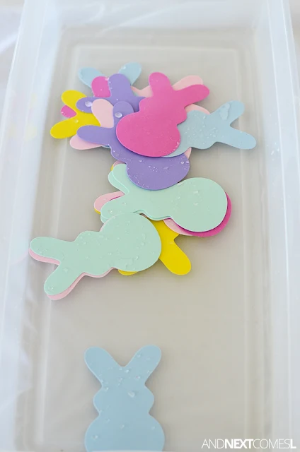 Easter Sensory Bin with Kinetic Sand: Beach Bunny - The Confused