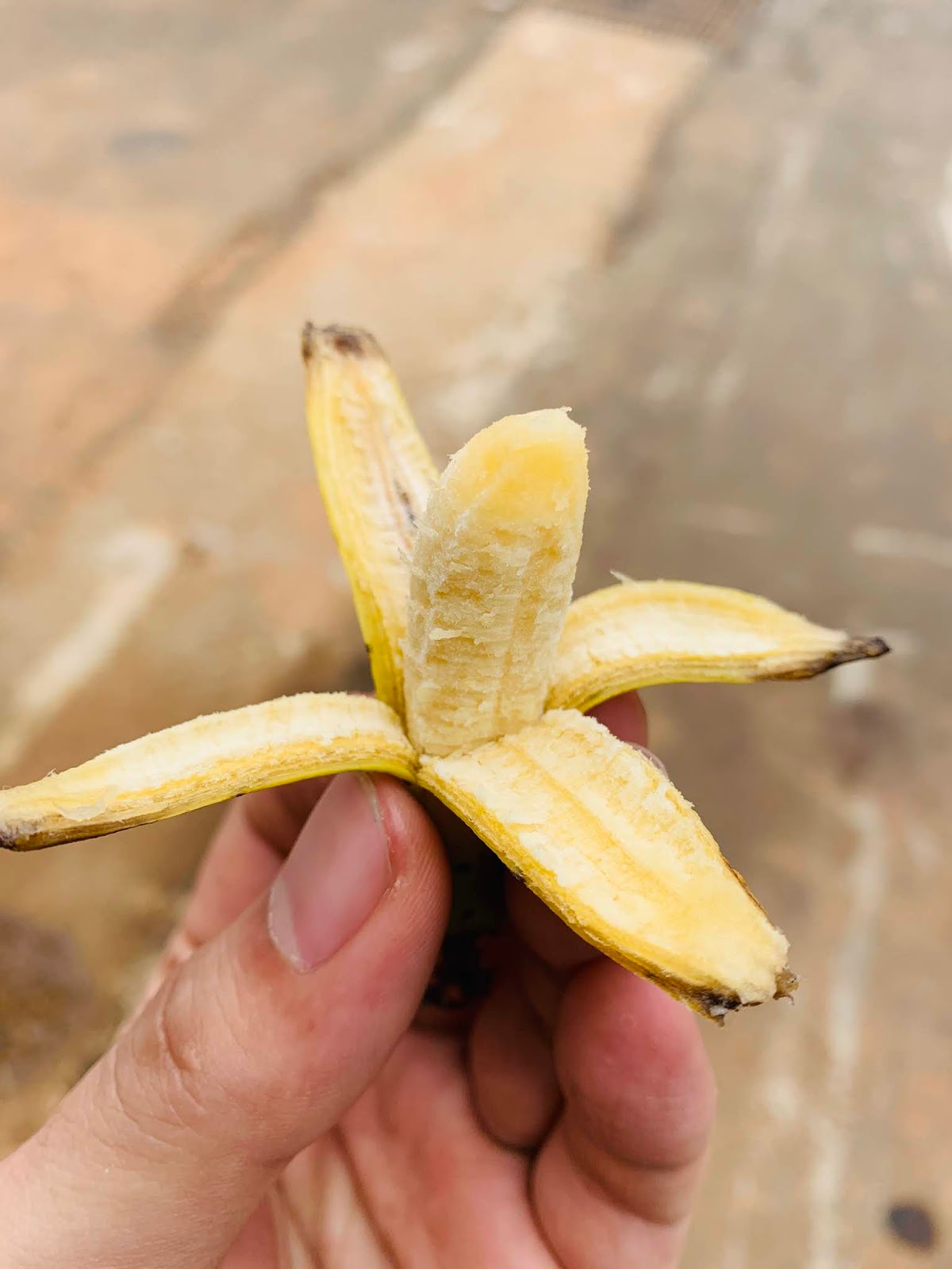 全世界最小的香蕉